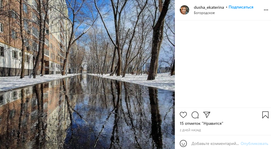 Фото дня: отражение весеннего Богородского