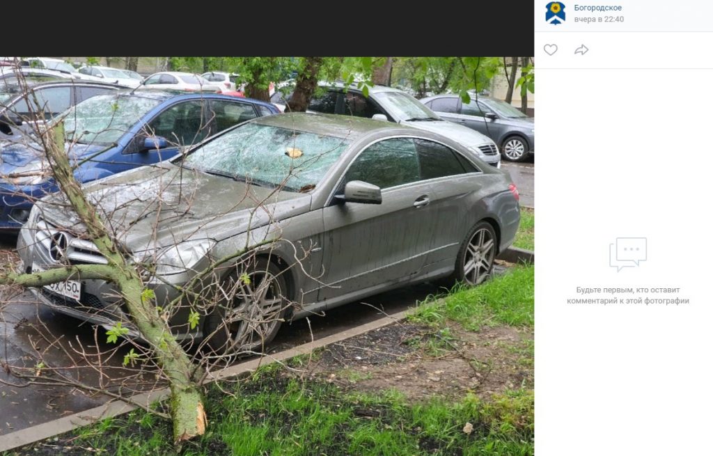 Поваленные ветром деревья разбили несколько автомобилей в Богородском