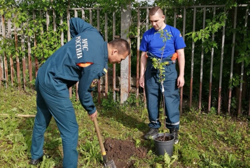 Сотрудники МЧС по ВАО высадили плодовые деревья