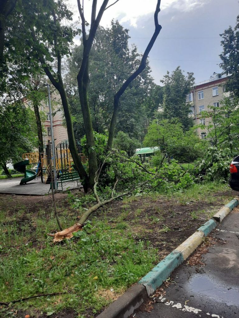 Коммунальщики Богородского убрали все поваленные деревья