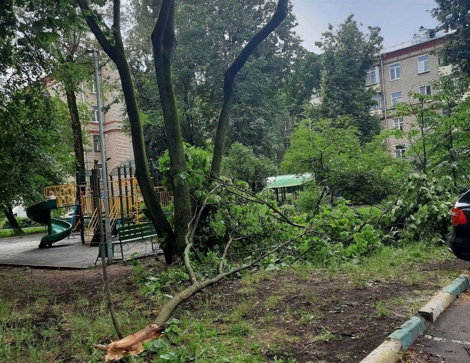 Сняли богородскую. Ташкентская 170 упало дерево.