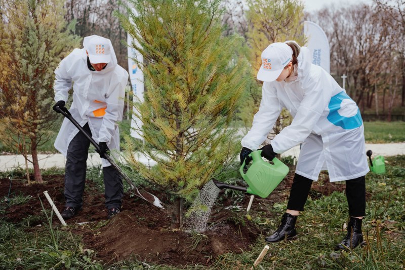 Московский НПЗ высадил в парке Капотни молодые деревья