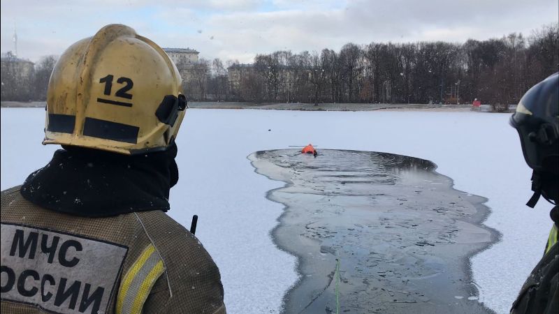 Пожарные ВАО спасли вмерзшую в лед утку